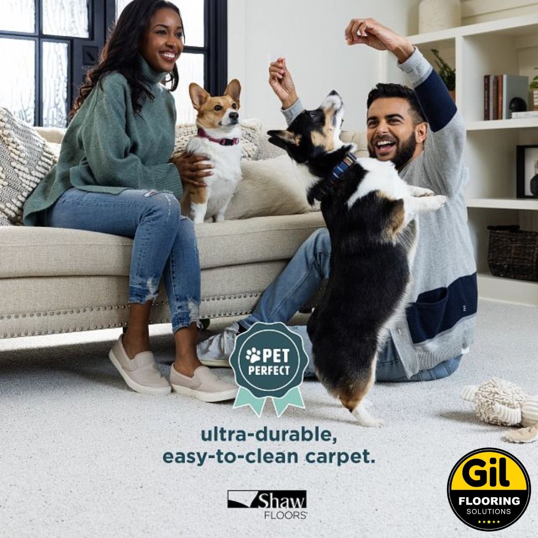 A man and woman are sitting on a couch with two dogs.