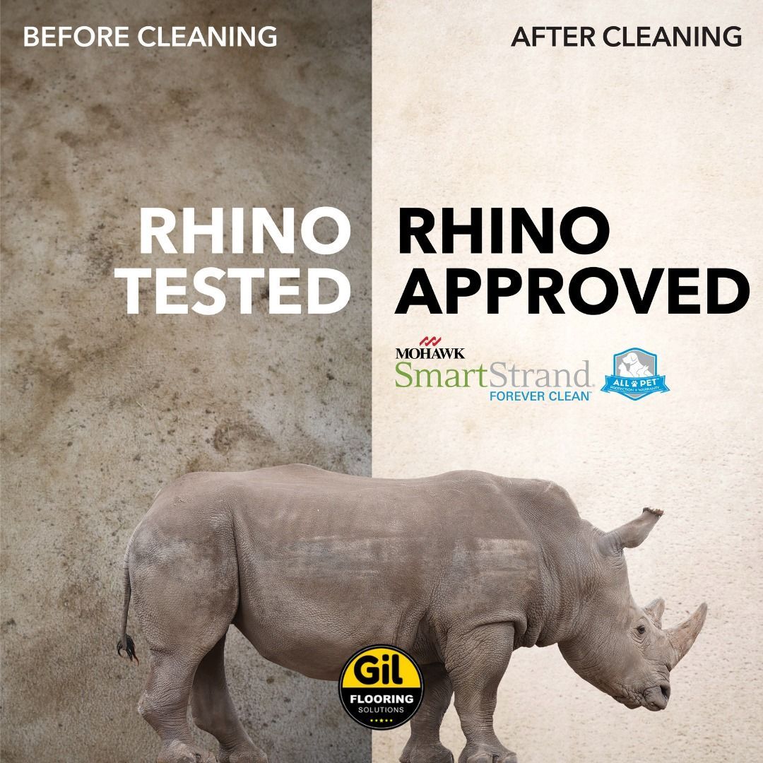 A picture of a rhino before and after cleaning