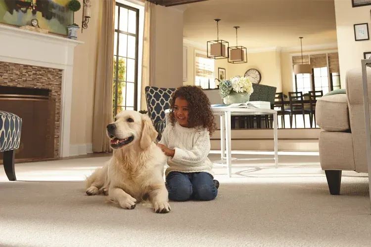 A little girl is petting a dog on the floor in a living room.