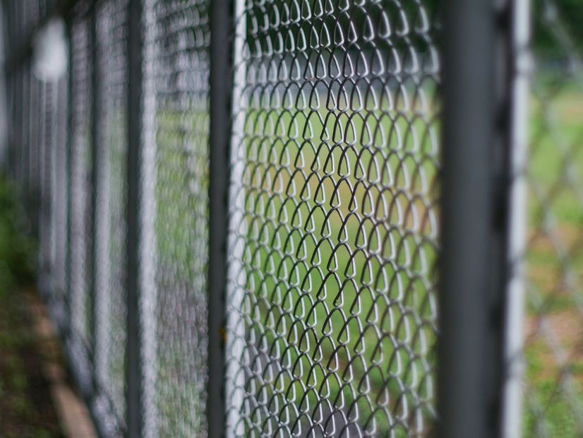 Close-up of a chain-link fence with a blurred green background behind it