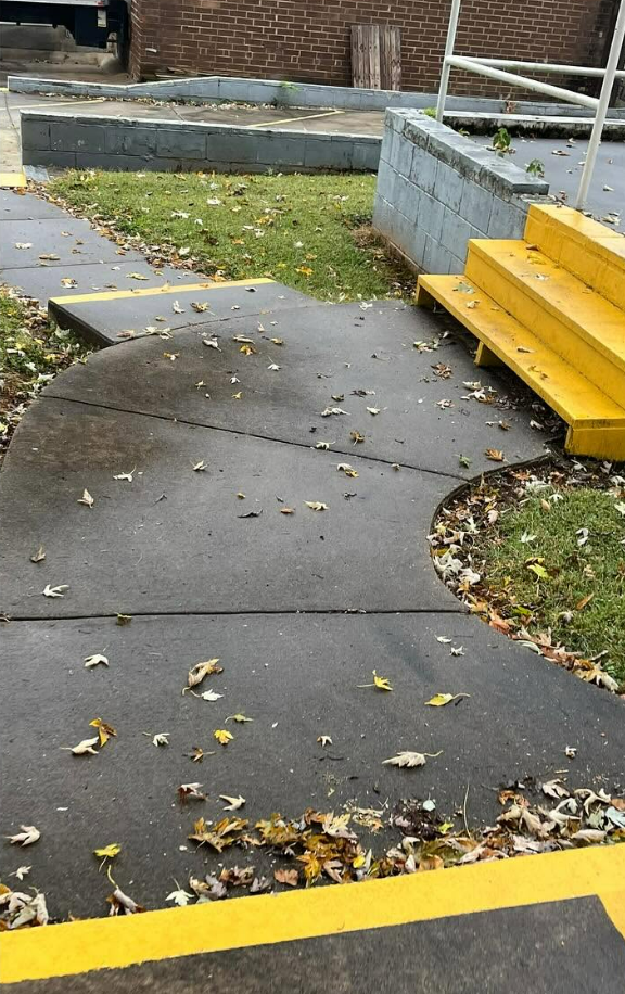 Curved sidewalk with scattered leaves, yellow curb line, and yellow steps beside a building