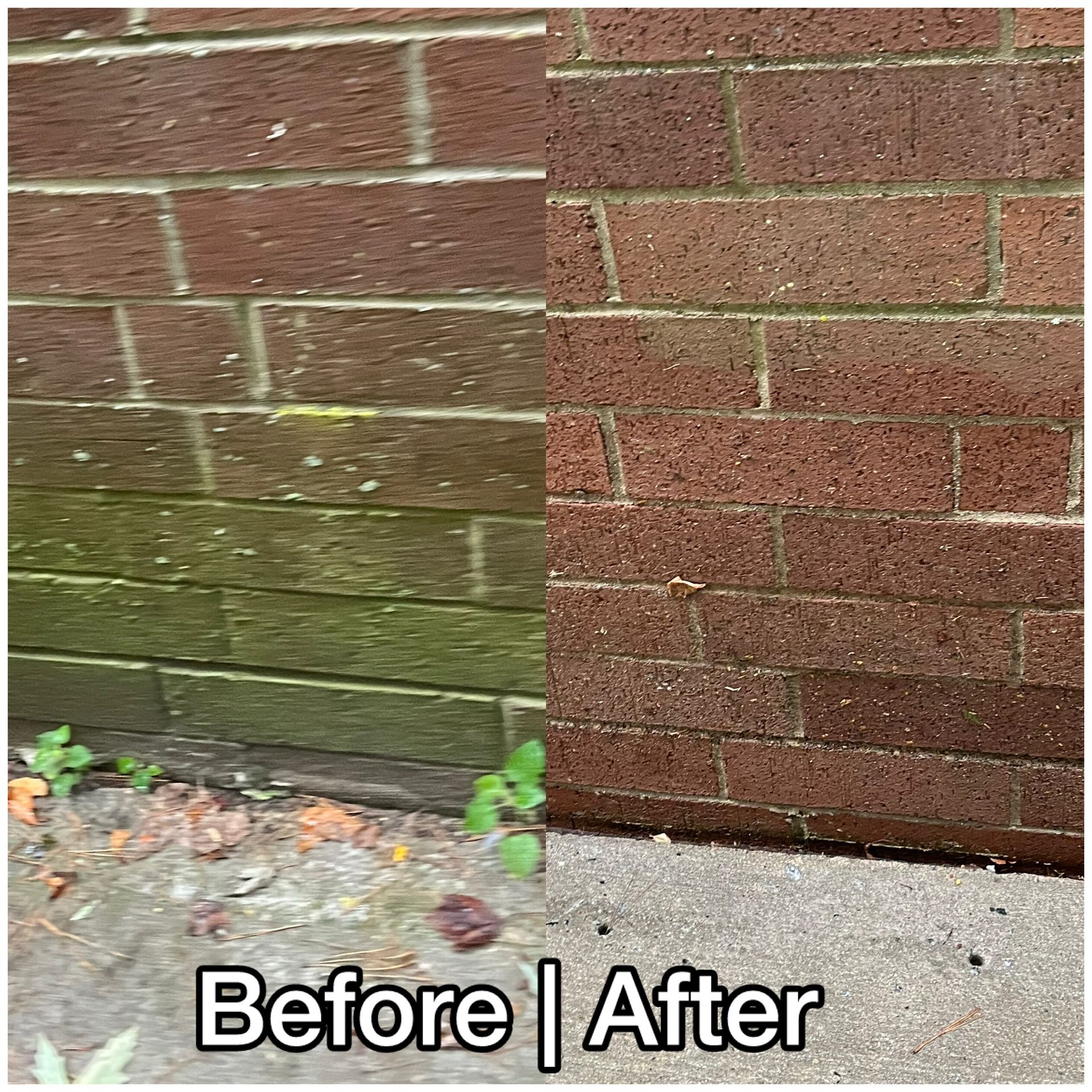 Split-screen brick wall before and after cleaning, with green moss removed on the left and cleaner bricks on the right