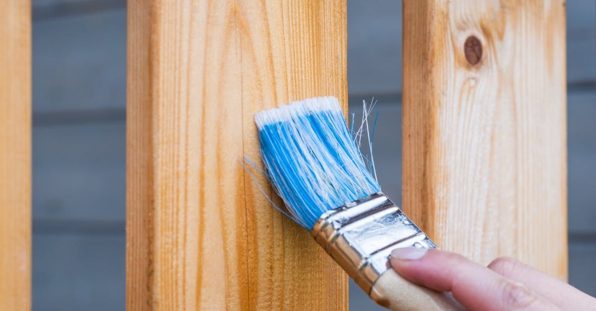 Fence Cleaning and Staining