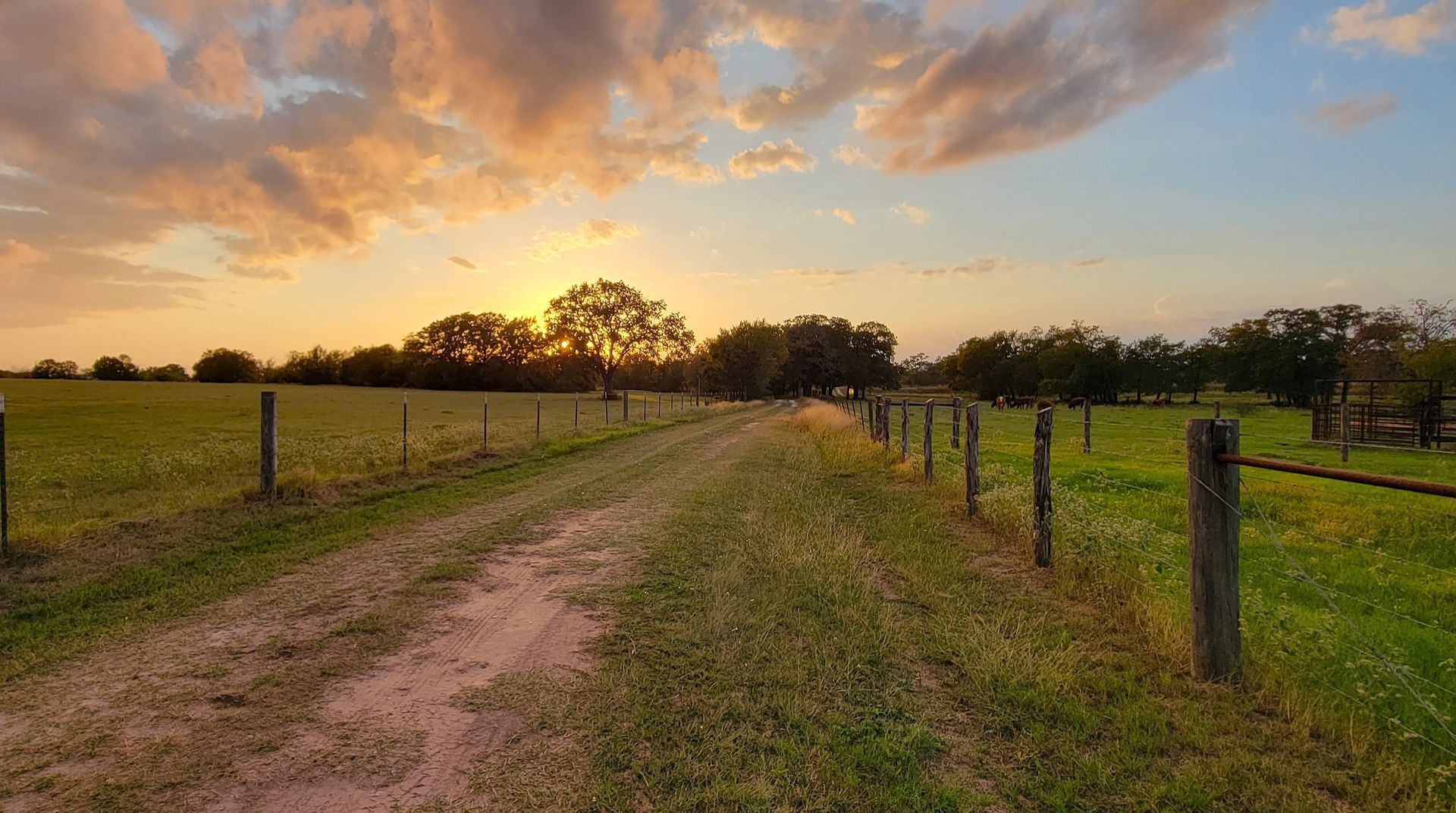 Dirt path through green pasture at sunset, with fence posts and a dramatic cloudy sky.