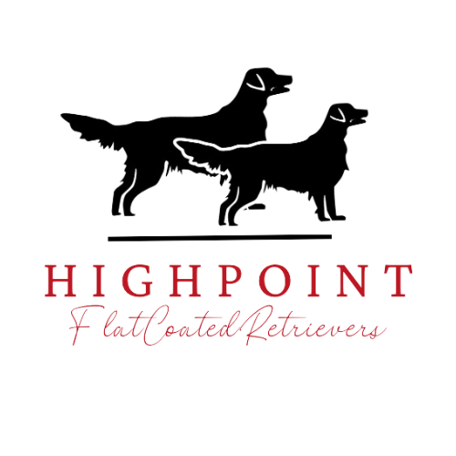 The logo for highpoint flat coated retrievers shows two dogs standing next to each other.