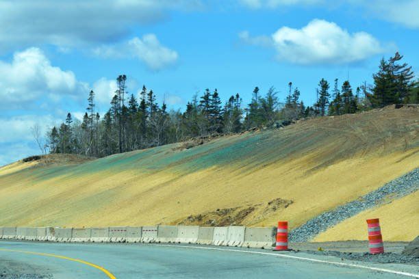 Access ramp construction and hydroseeding