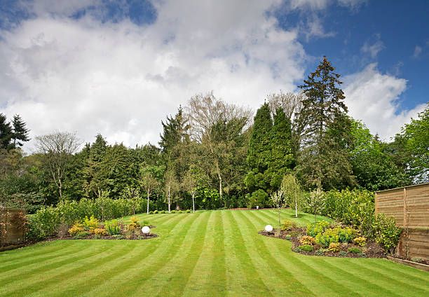 Garden view after lawn mowing
