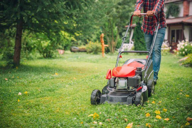 Man using a lawn mower