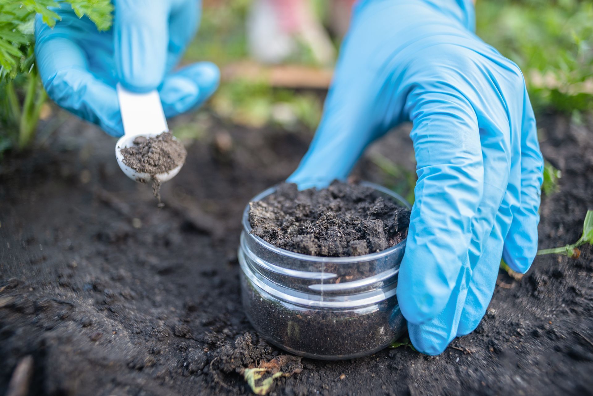 Blue-gloved hands placing soil into a small glass jar on dark ground outdoors