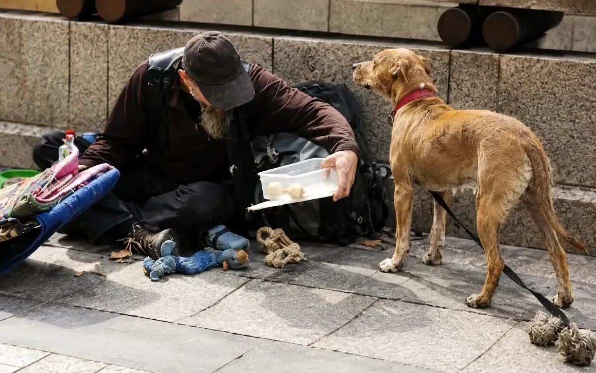 Person on sidewalk feeding two stray dogs from a container while bags and belongings sit nearby