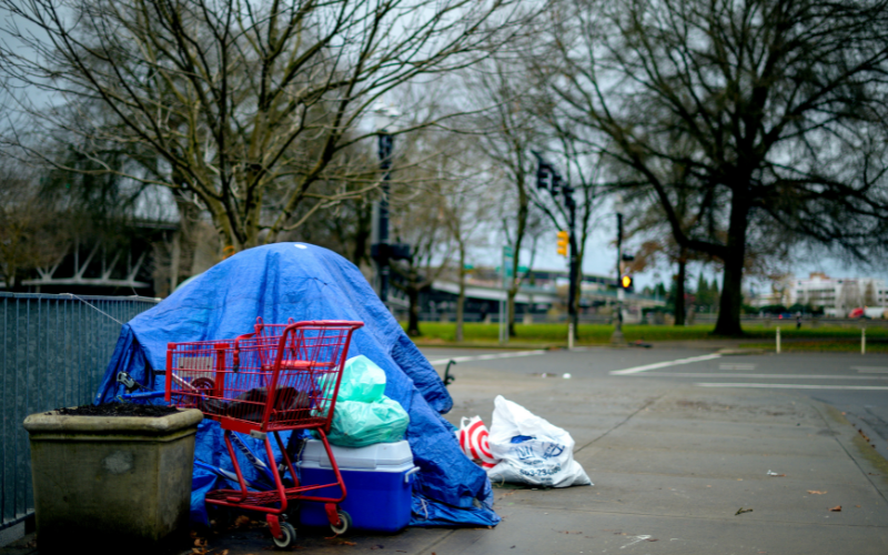 Shopping cart and tarp-covered belongings on a city sidewalk, surrounded by bare trees and traffic lights in the background.