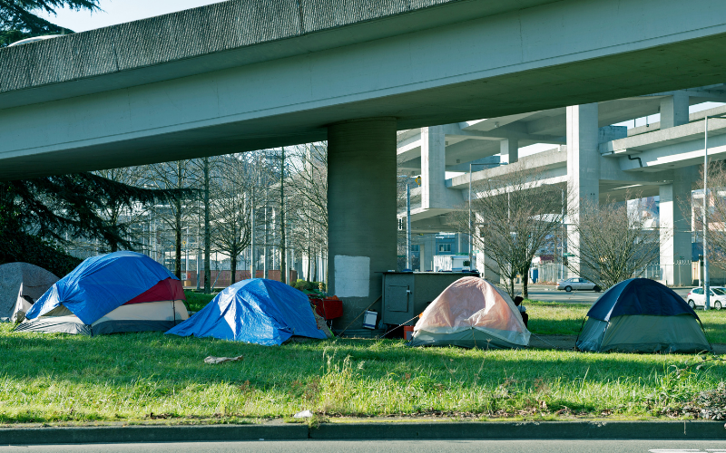 Tents set up under a highway overpass on a grassy area, with trees and urban structures in the background, suggesting a campsite.