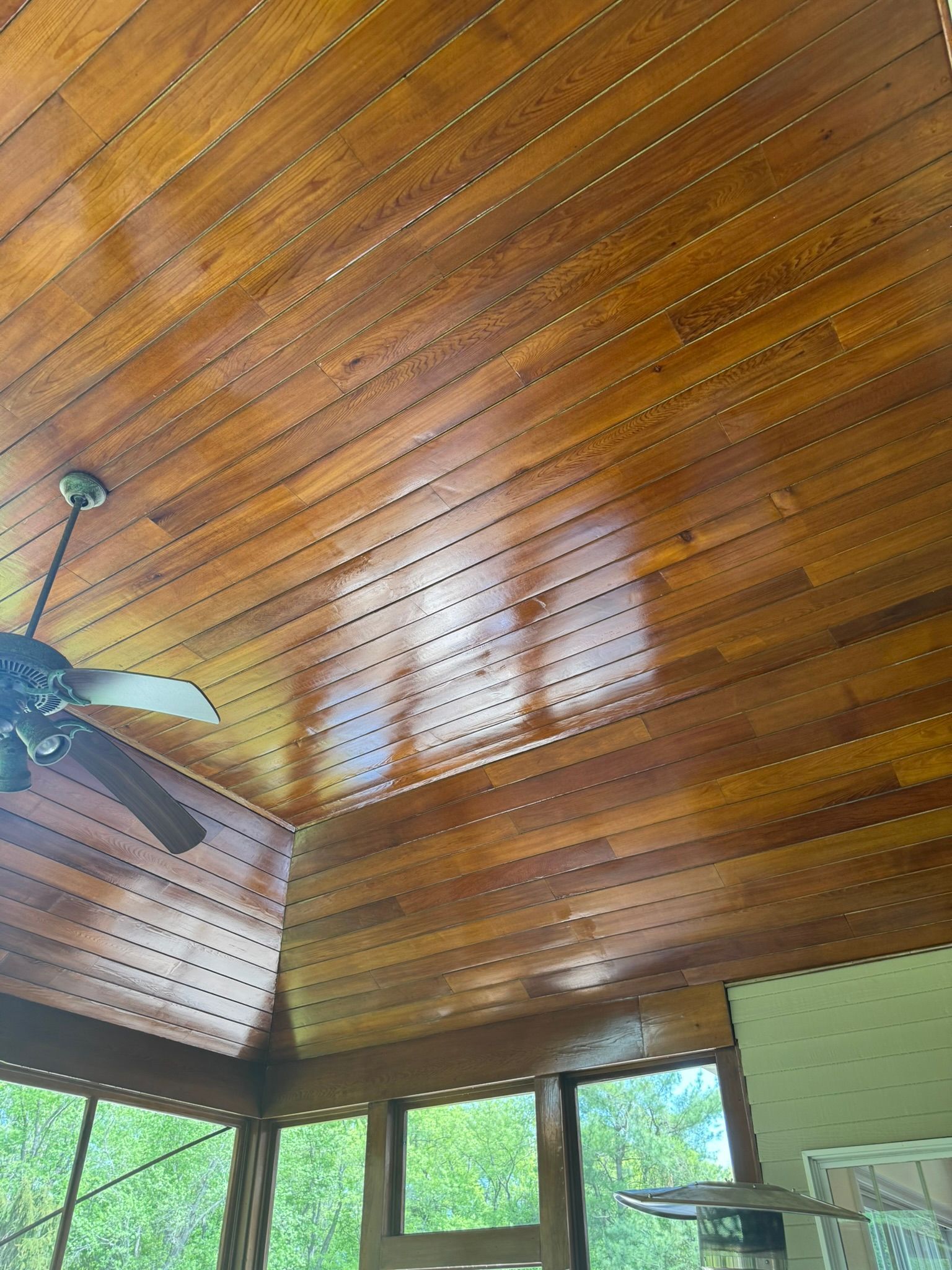 Wood-paneled vaulted ceiling with a ceiling fan above screened windows and greenery outside.