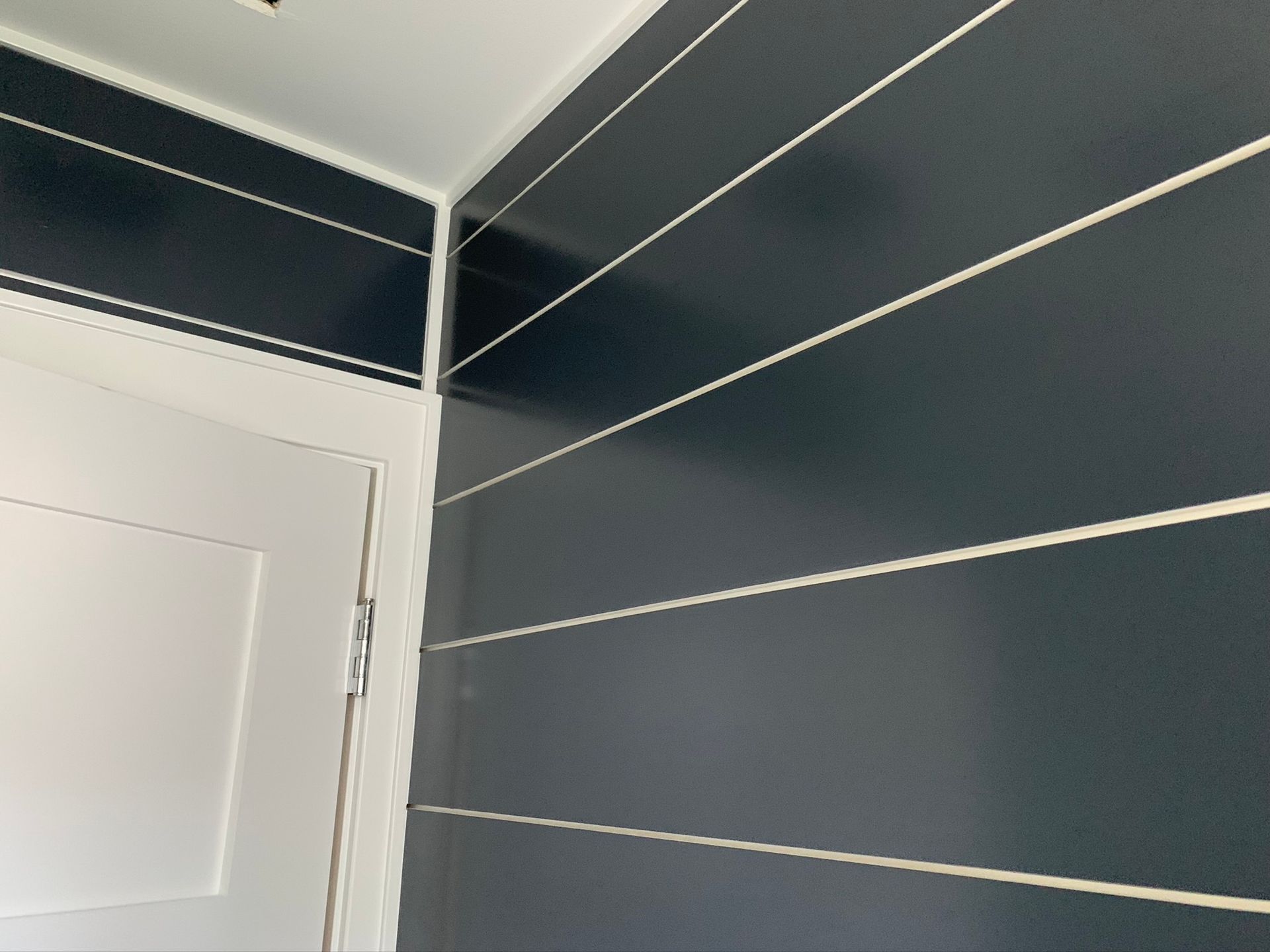 Corner of a room with dark gray paneled walls, white trim, and a white door.