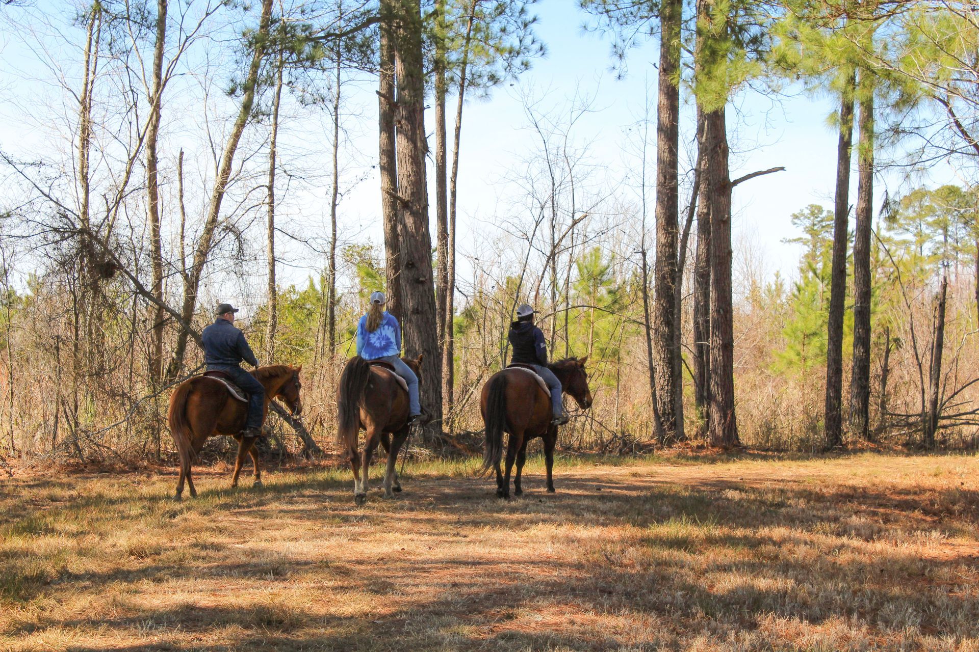 Equine Trails