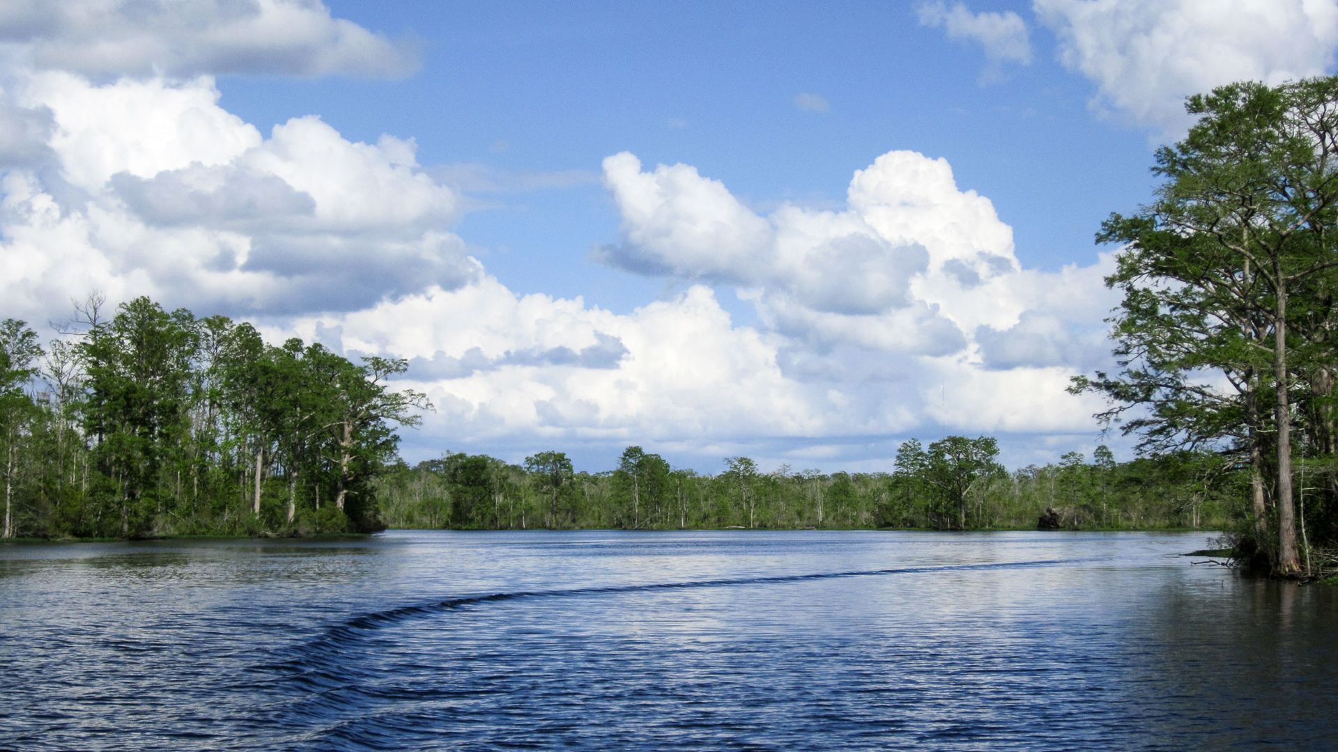 Tyrrell County Visitors Center Columbia North Carolina