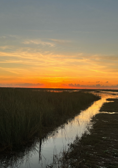 Everglades airboat tour sunset