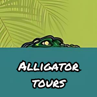 Alligator tours Alligator tours