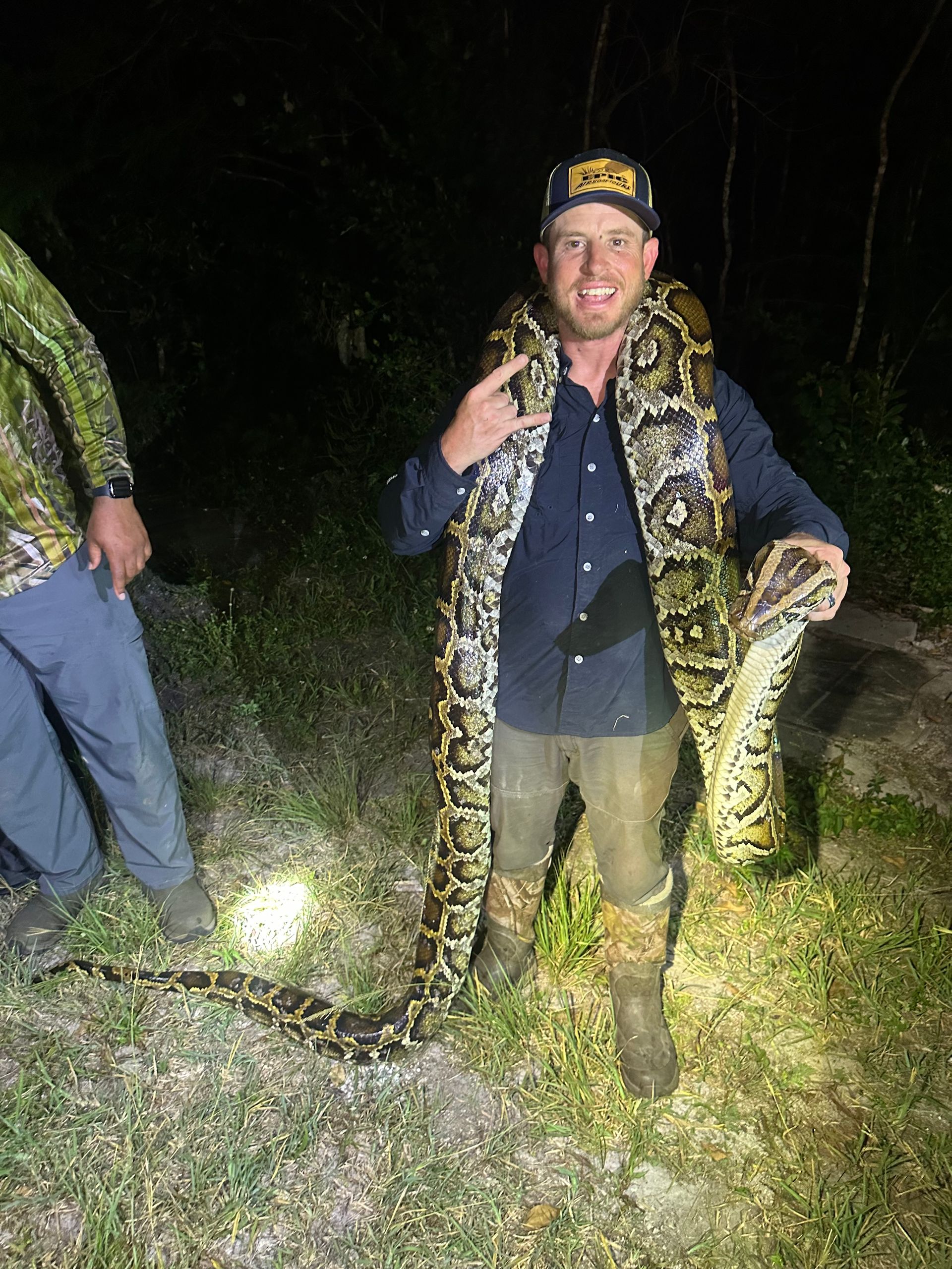 Invasive Python Caught In The Florida Everglades