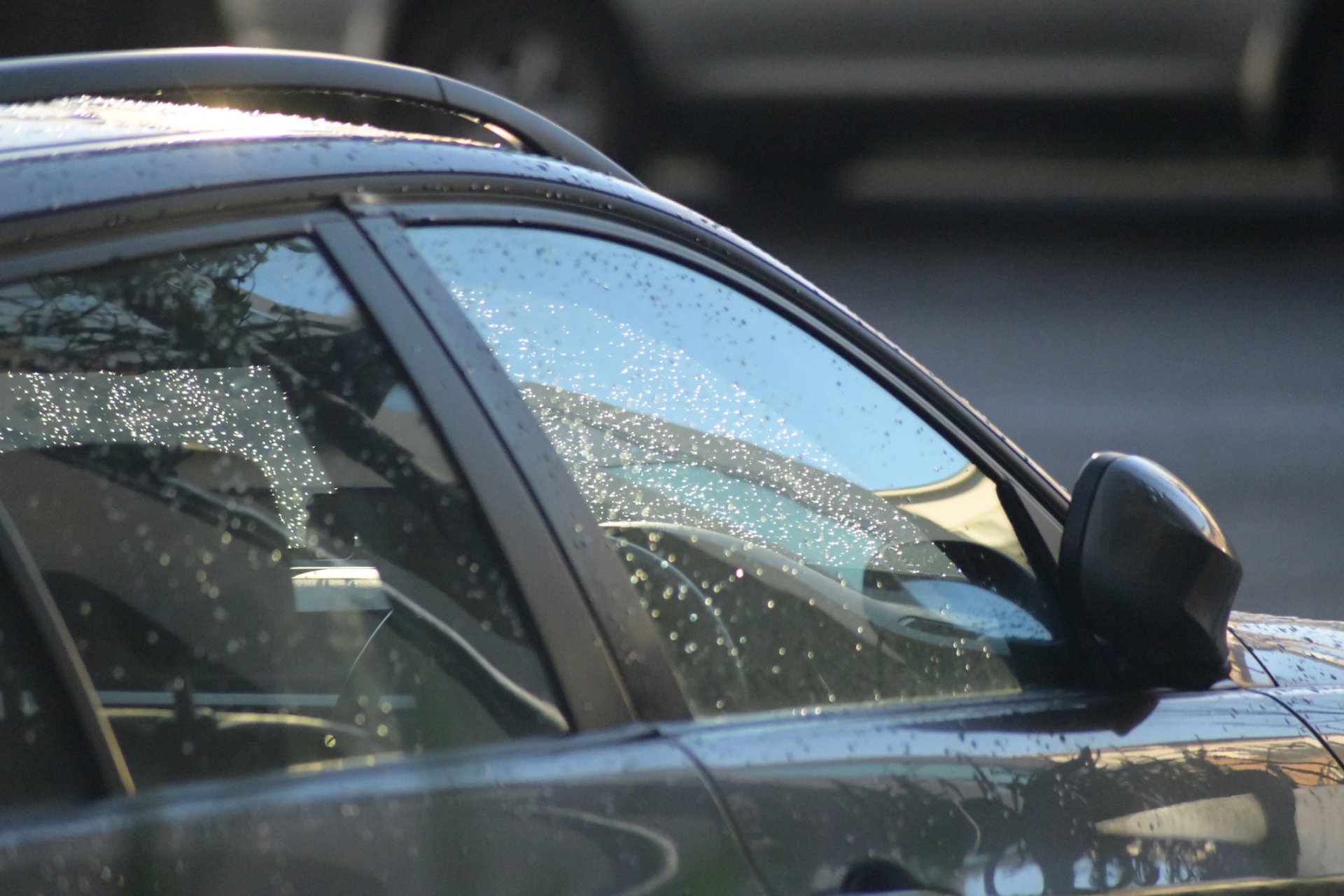 Windshield & Sunroof Leak Repairs Chicago, IL Flash Auto Glass LLC