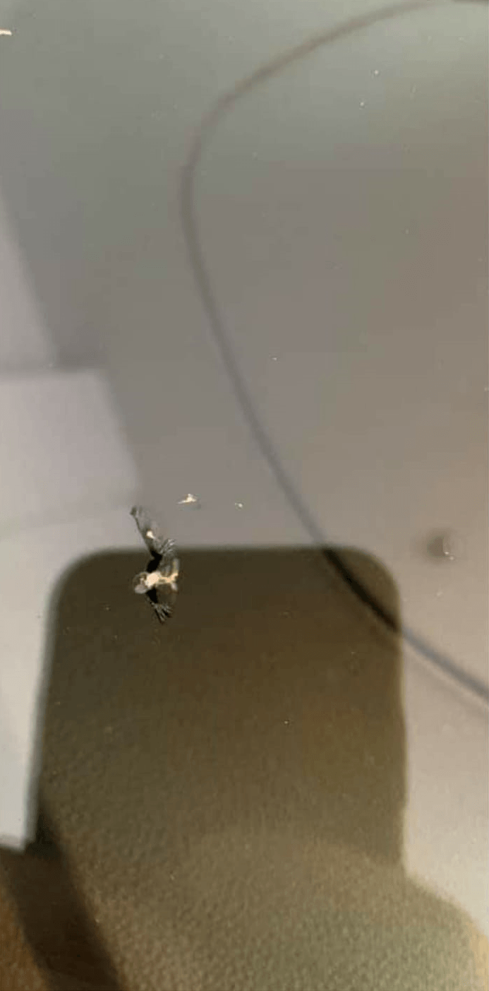 Before Chip Repair — Chicago, IL — Flash Auto Glass LLC