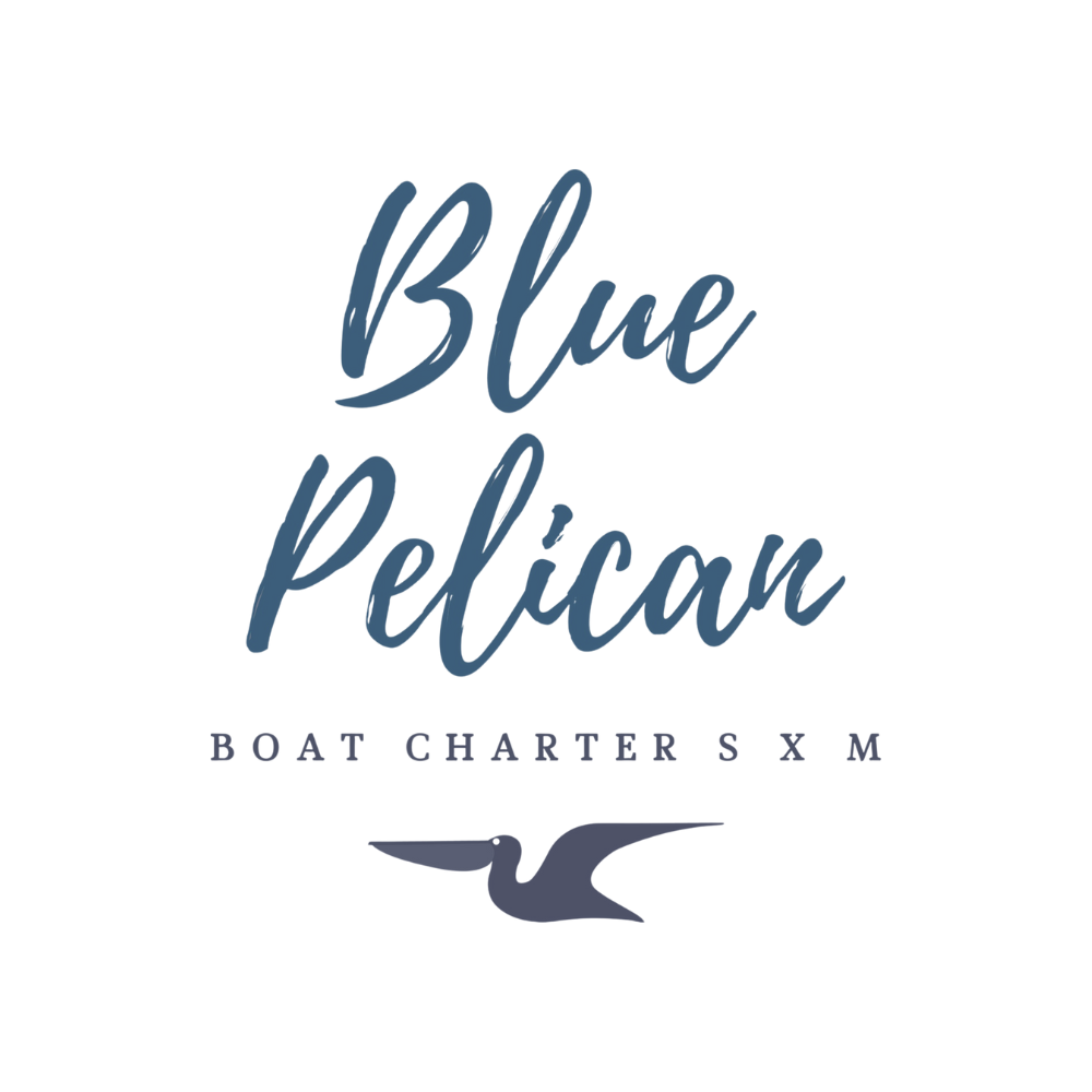 Blue Pelican Charter