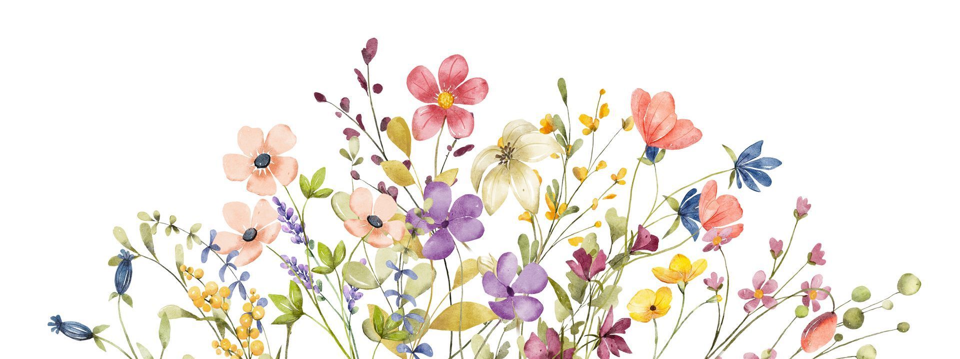 ein Blumenstrauß aus bunten Blumen auf weißem Hintergrund .