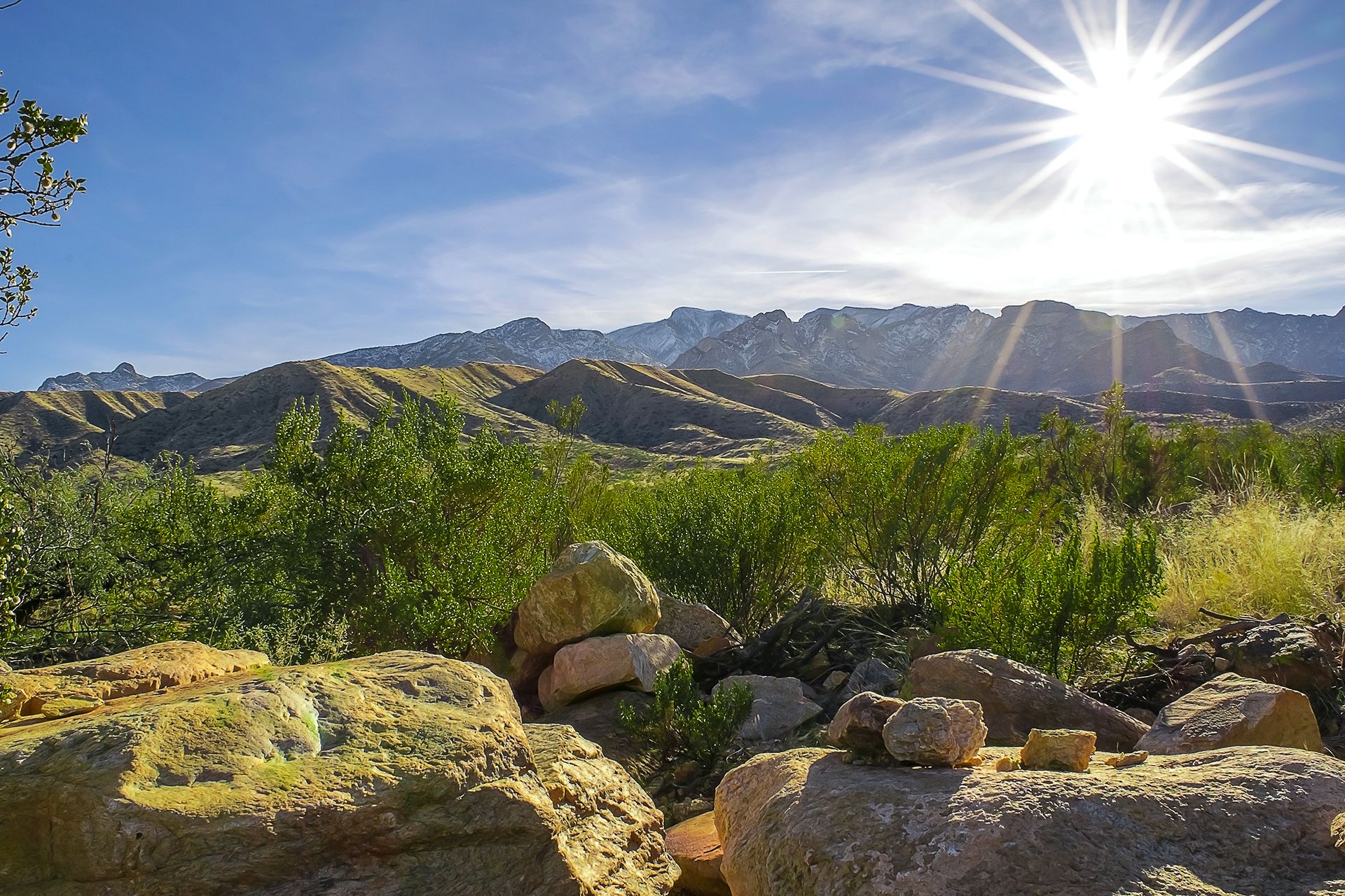 Obituaries in Safford, AZ | McDougal Caldwell Funerals & Cremation