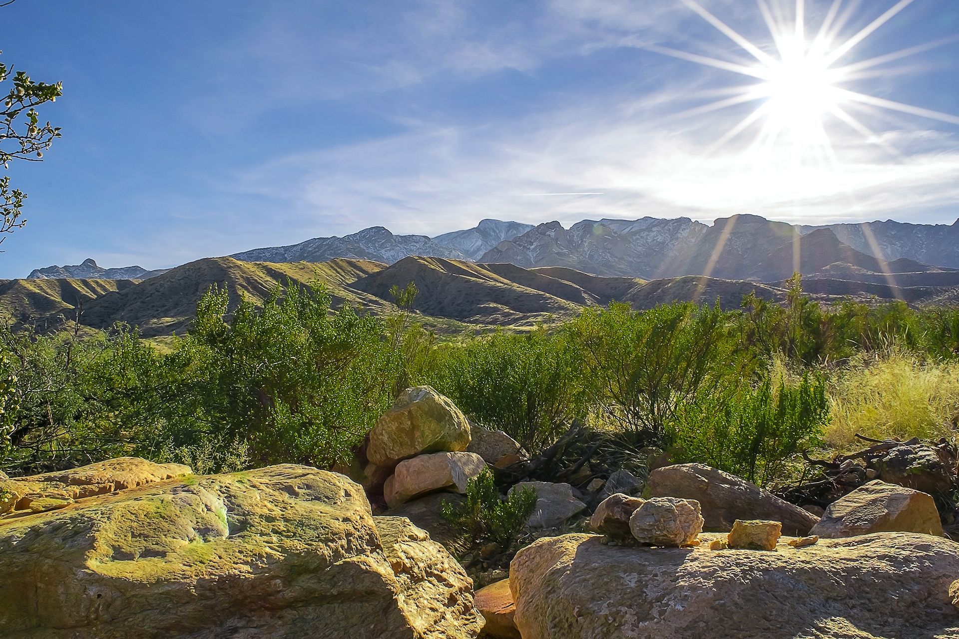 Desert landscape with sunlit mountains, green shrubs, and rocky foreground under a bright sky