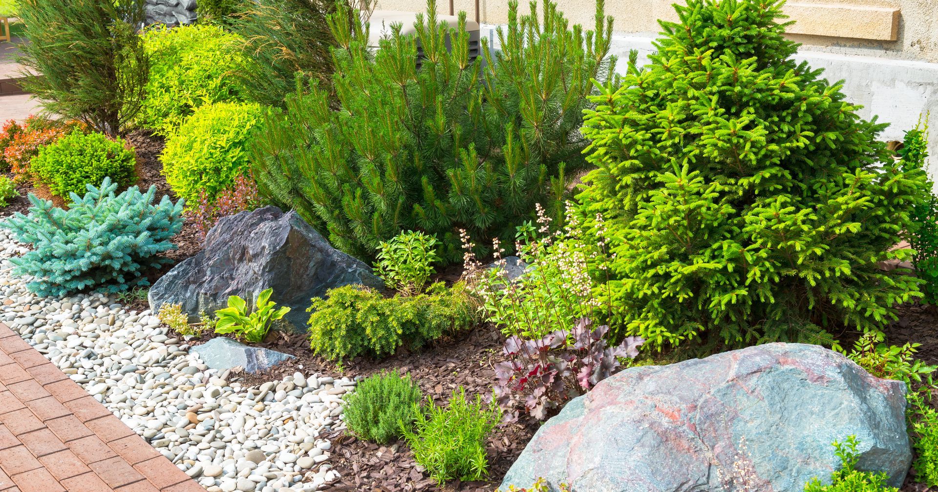 Wildlife resistant shrubs and plants