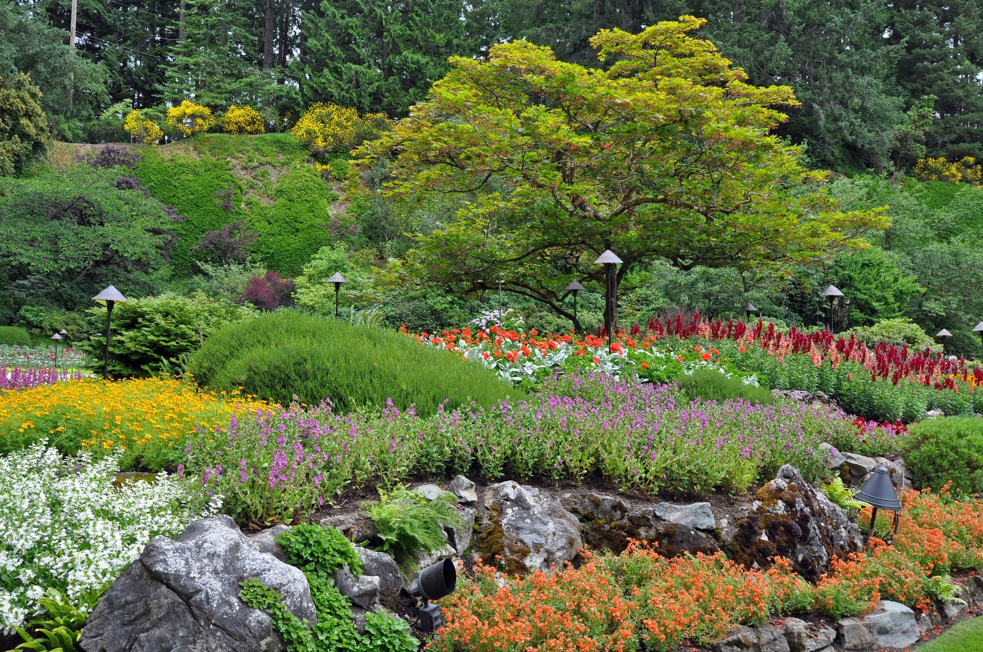 Ccommunity garden with trees and flowers