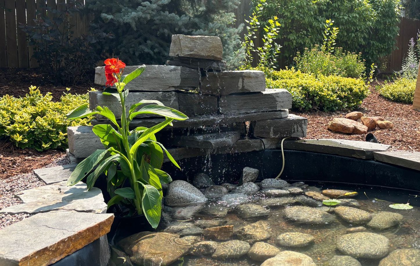 Knightscape project fenced yard wth stone waterfall into pond with canna flowers and lily pads.