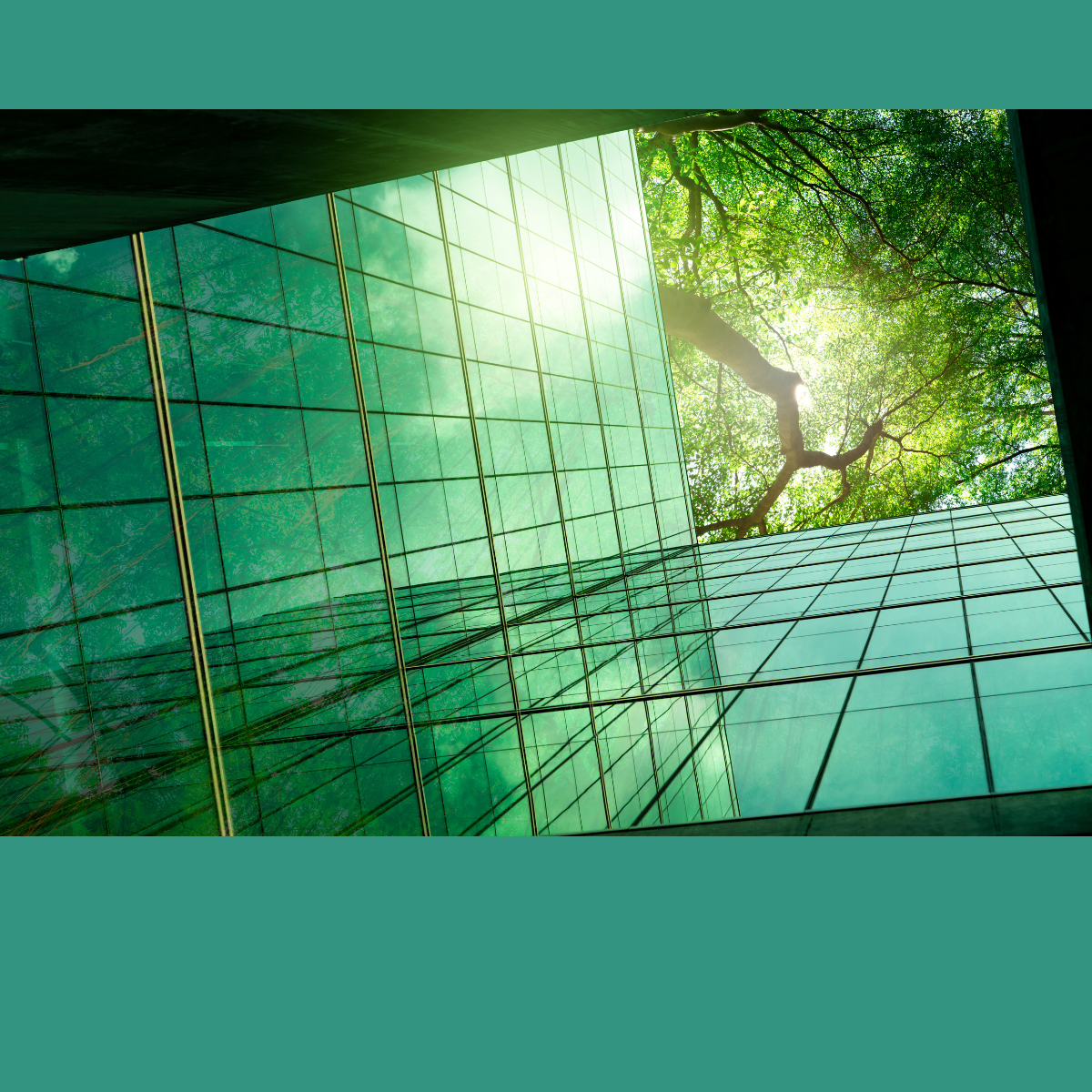 a photograph with a green huge taken looking up when in a courtyard to see glass buildings and trees