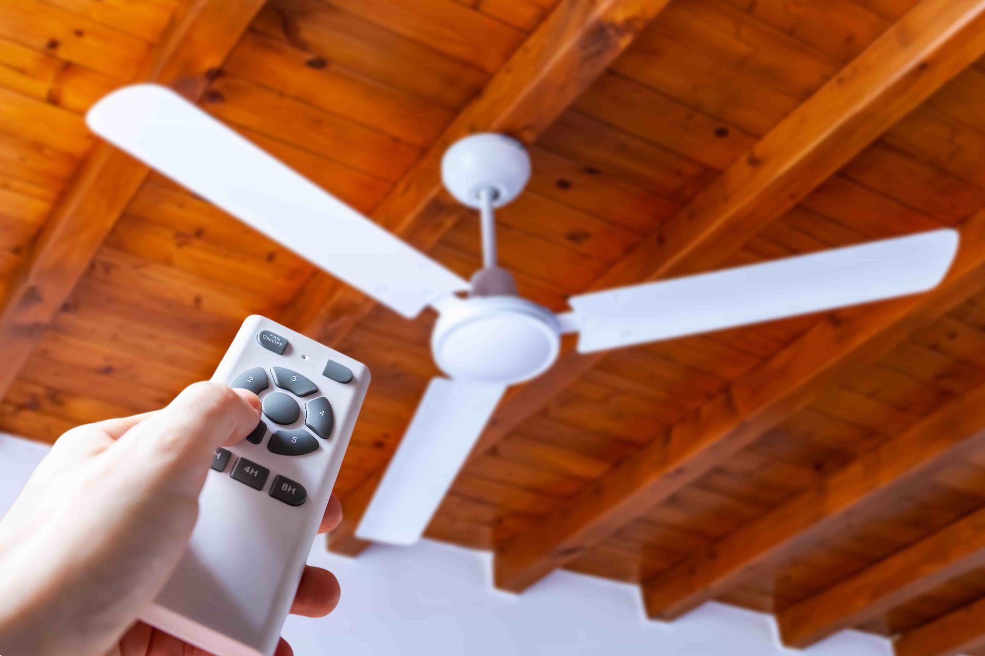 A Ceiling Fan is Hanging From the Ceiling of a Building — Rob Fritsch Electrical in Wagga Wagga, NSW