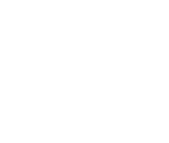 White Business Logo