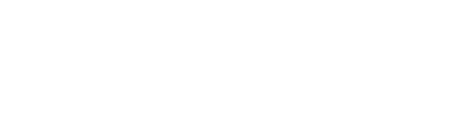 Aim High Marketing Logo