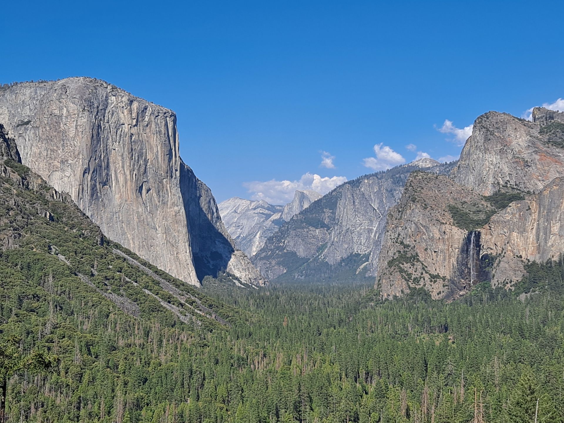 Wildhaven Yosemite Glamping — photo 2