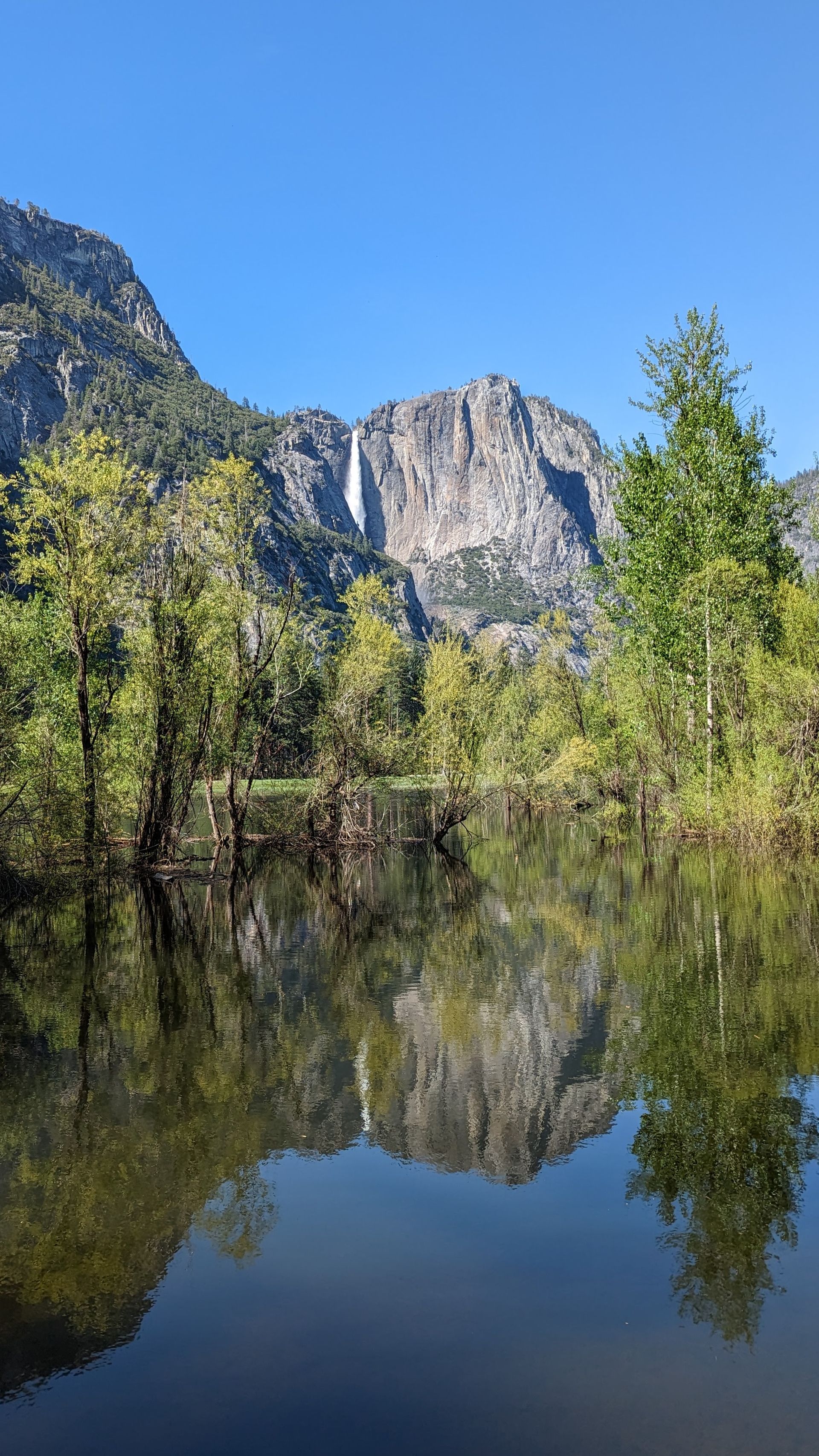 Wildhaven Yosemite Glamping — photo 4