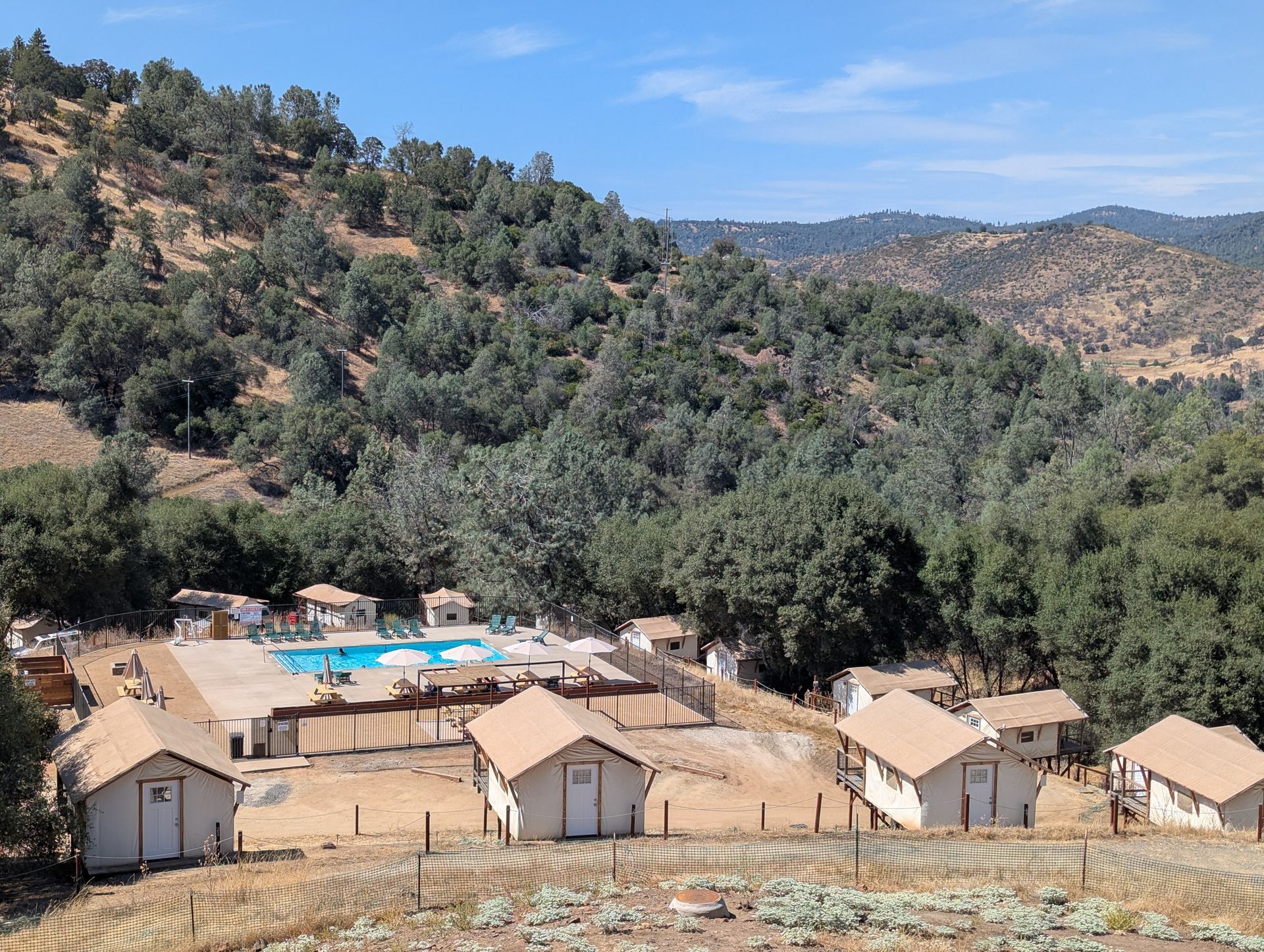 Overview shot of pool tents surrounding it and Yosemite hills covered with trees