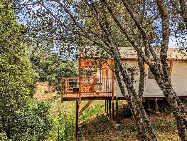 A small house on stilts in the middle of a forest surrounded by trees.