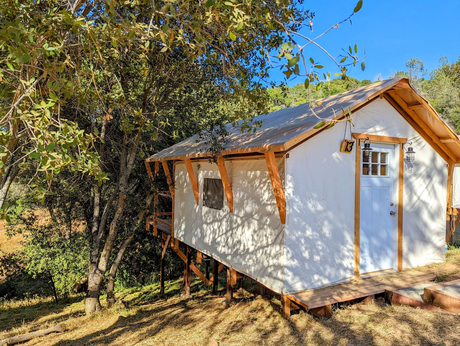 A small white house is sitting on top of a wooden platform in the middle of a forest.