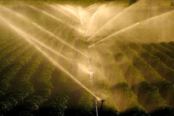 Huge Farm With Water Sprinklers — Port Charlotte, FL — American Irrigation Huge Farm With Water Sprinklers — Port Charlotte, FL — American Irrigation