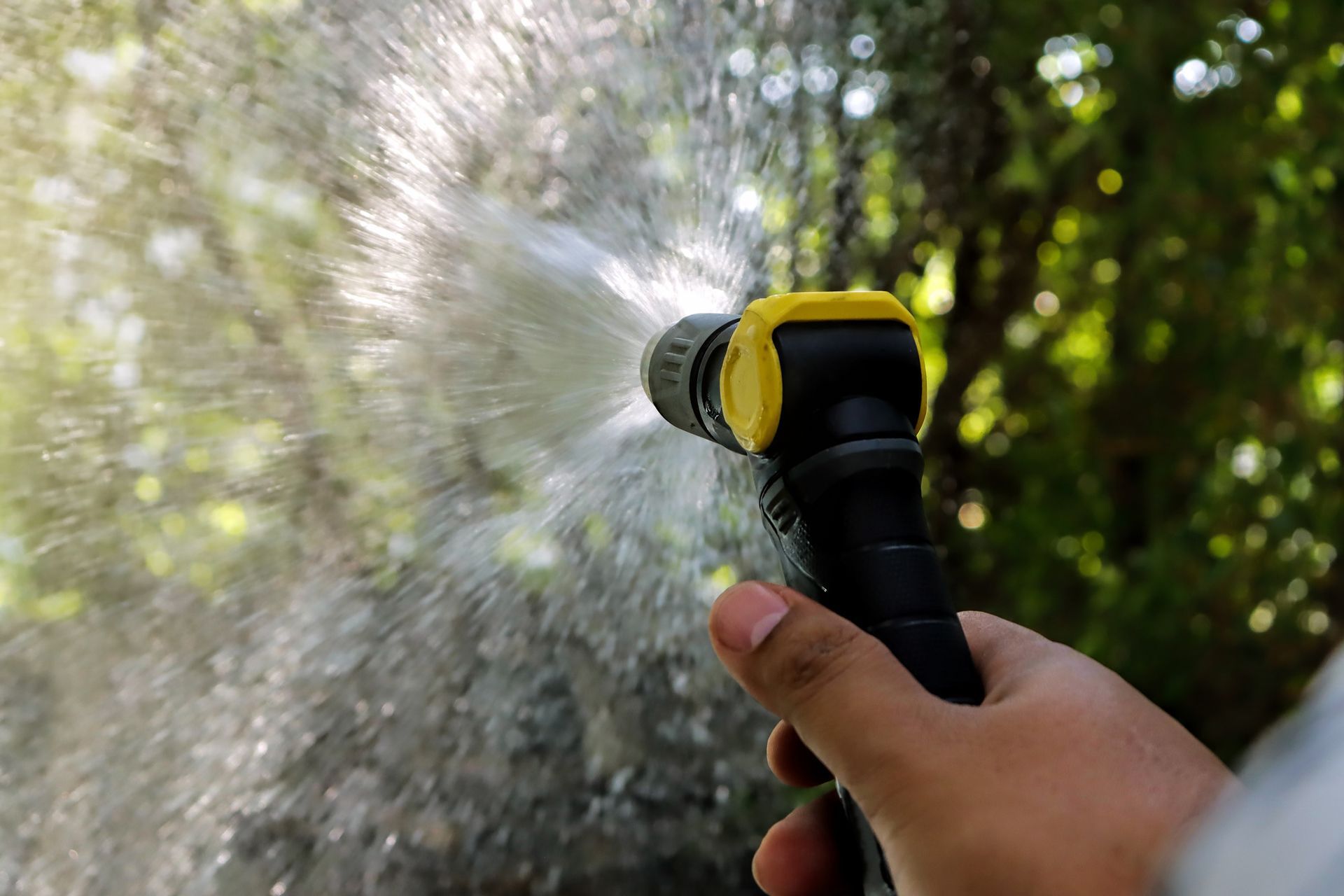 Watering Garden Plants With Hose — Port Charlotte, FL — American Irrigation Watering Garden Plants With Hose — Port Charlotte, FL — American Irrigation