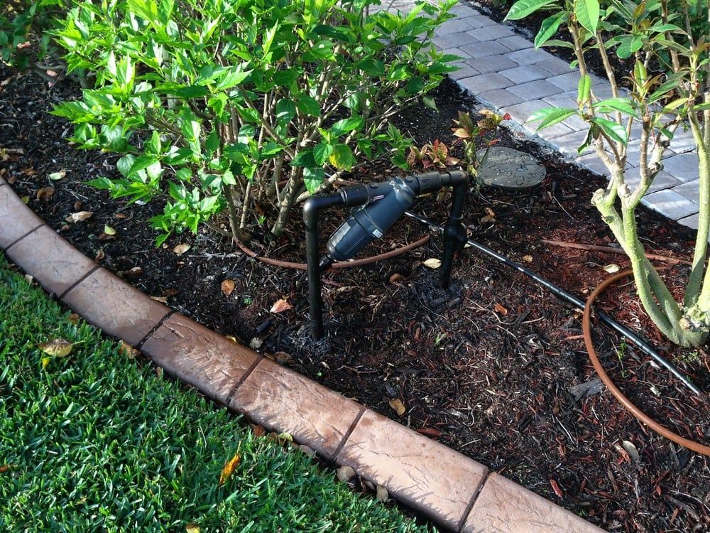 Irrigation Photos Port Charlotte, FL American Irrigation