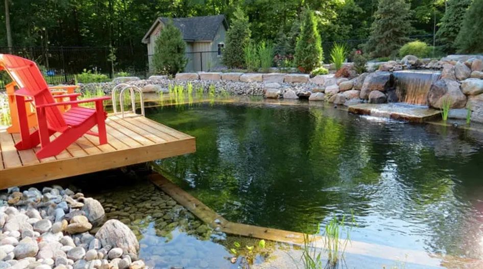 Natural Pools - Buford, GA - ClearVision Natural Pools