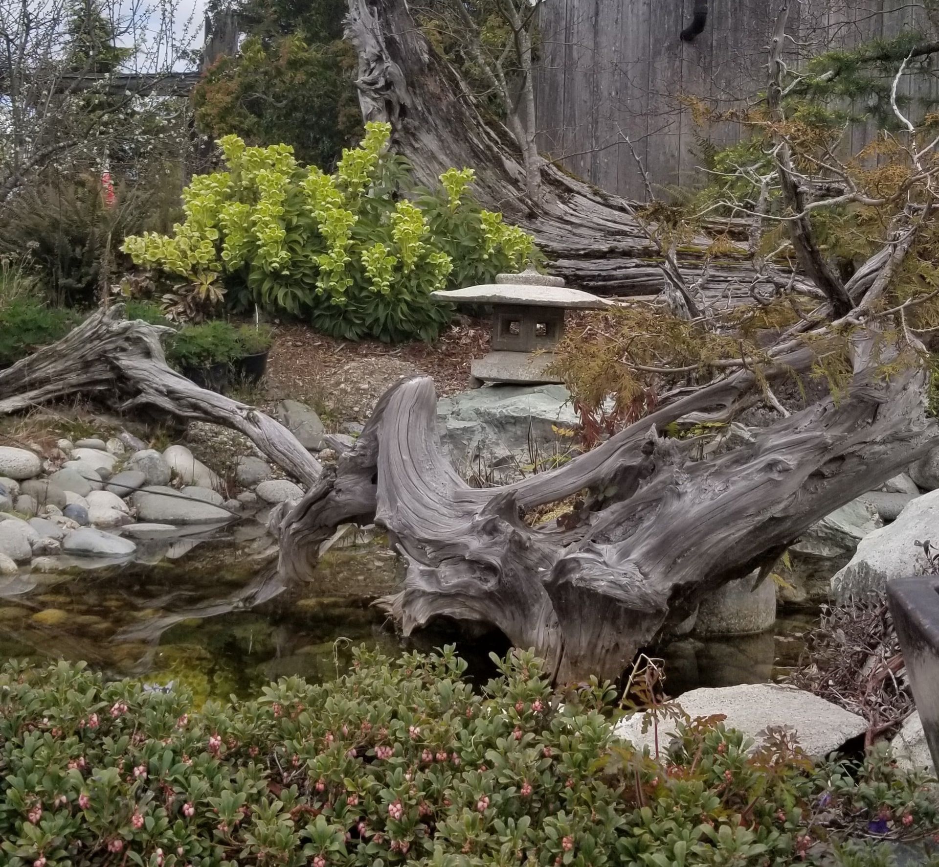 Rock garden with driftwood, stones, green shrubs, and a small stone lantern near a stream.