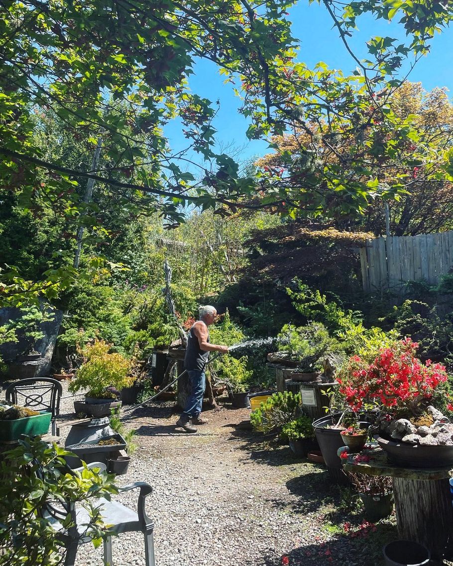 Person standing in a lush backyard garden path with potted flowers and trees under bright blue sky