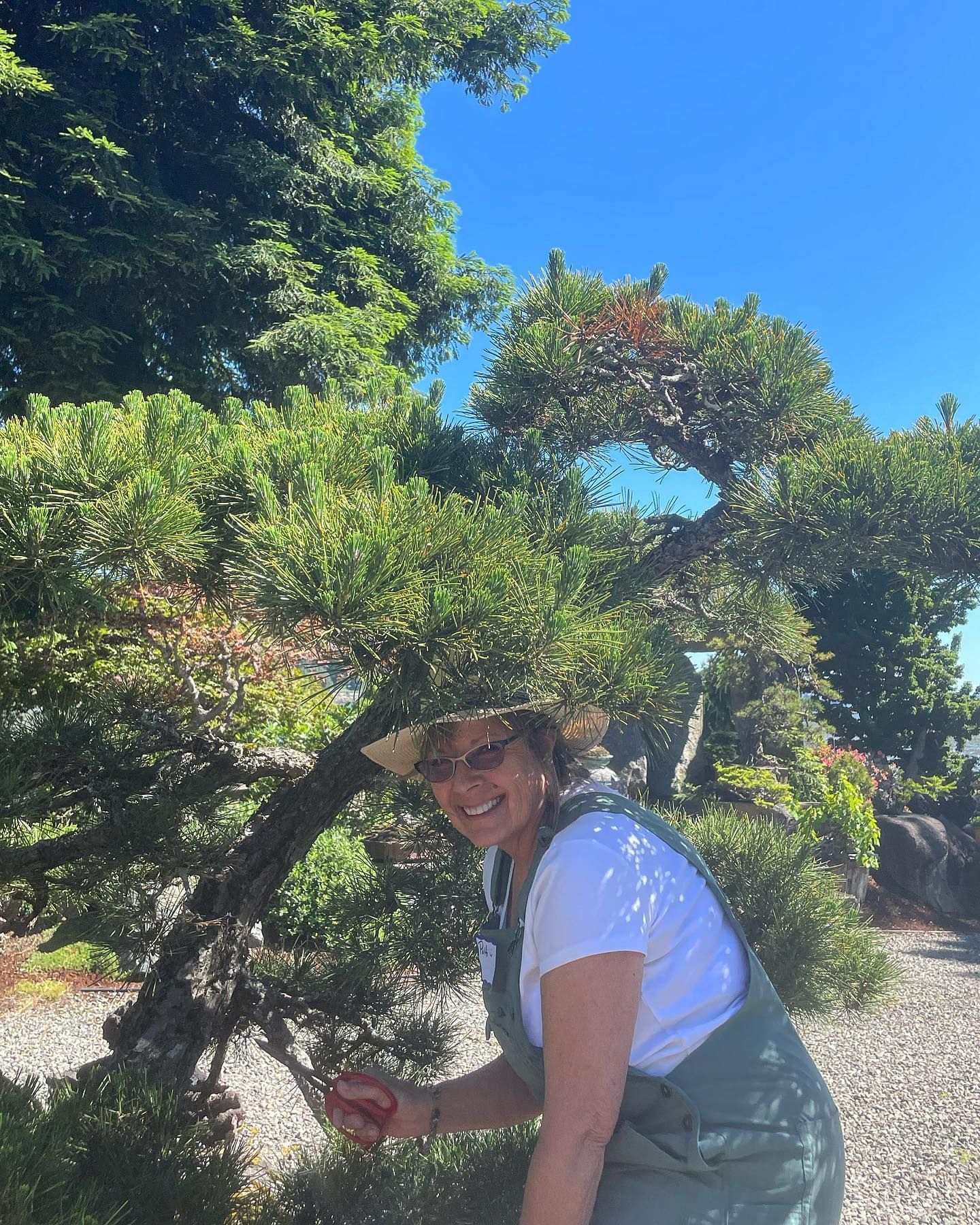 Person crouches under a leafy tree on a sunny day, smiling in a garden.
