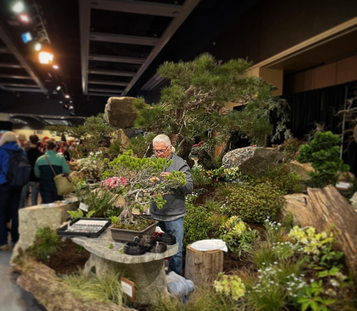 Person arranging bonsai trees at a dimly lit indoor garden display, with visitors in the background