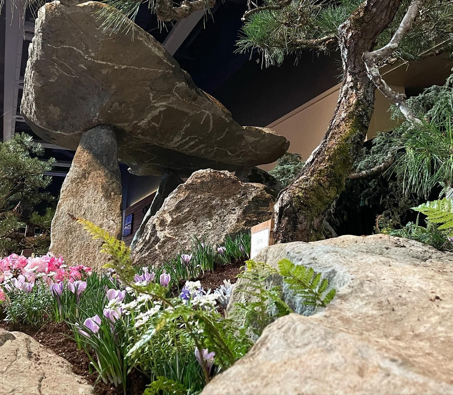 Large boulders and pink flowers in a lush garden at night